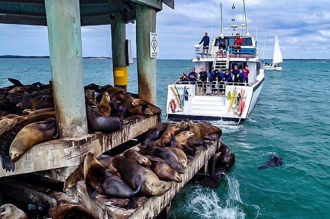 1.5hour Scenic and Wildlife luxury cruise - Quick highlights before you cast off