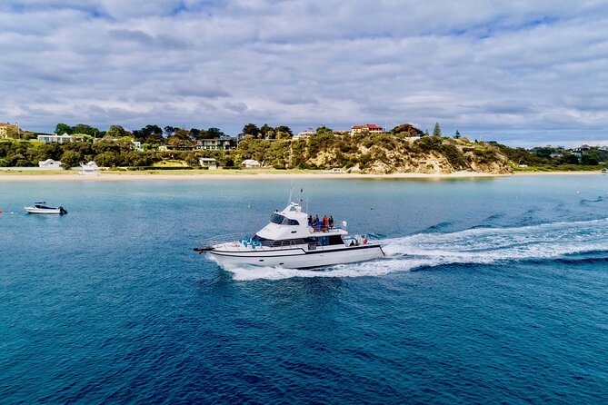 1.5hour Scenic and Wildlife luxury cruise - Mornington Peninsula by Boat: Sorrento to Portsea Fast and Focused