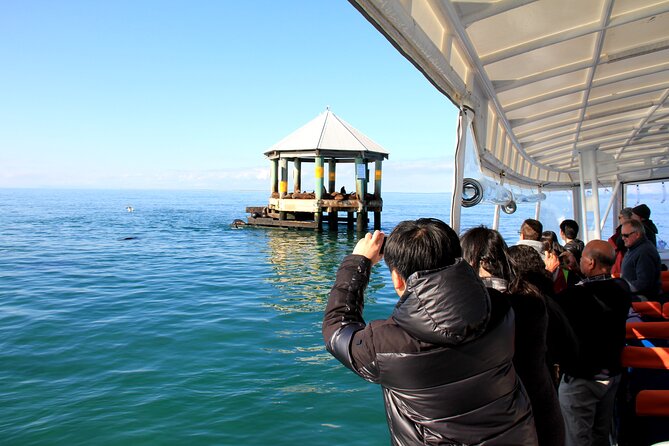 1.5hour Scenic and Wildlife luxury cruise - Cruising the Sorrento–Portsea coast: scenery worth the boat ride