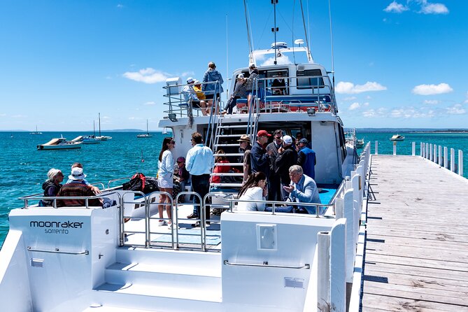 1.5hour Scenic and Wildlife luxury cruise - Guides on the water: interpretive commentary that adds real value