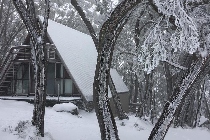1 day Lake mountain snow tour - Chocolate first: Yarra Valley Chocolaterie & Ice Creamery stop