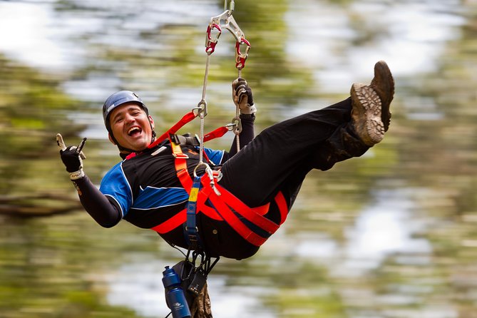 12 Apostles and Otway Fly Zipline Day Trip from Melbourne - Quick take: what matters most on this day trip