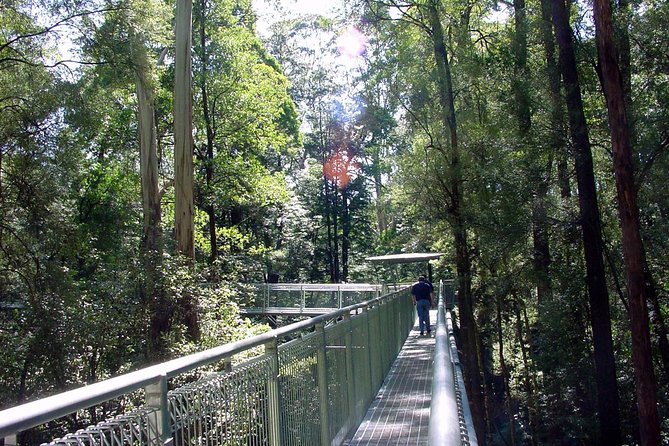 12 Apostles and Otway Fly Zipline Day Trip from Melbourne - Loch Ard Gorge lookouts plus the step-down into the gorge