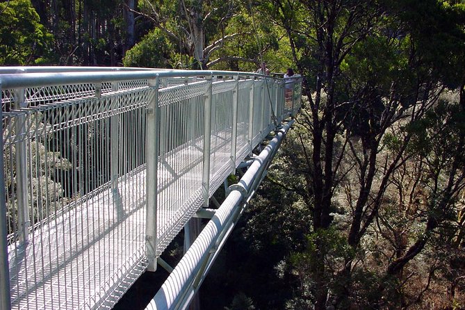 12 Apostles and Otway Fly Zipline Day Trip from Melbourne - Lunch at Yatzies: gardens, parrots, and your own food cost