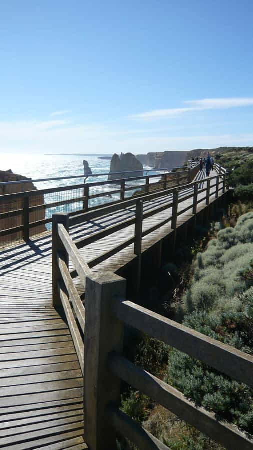 2 Day Great Ocean Road Small Group Tour - Kennett River and koalas, then Apollo Bay to unwind