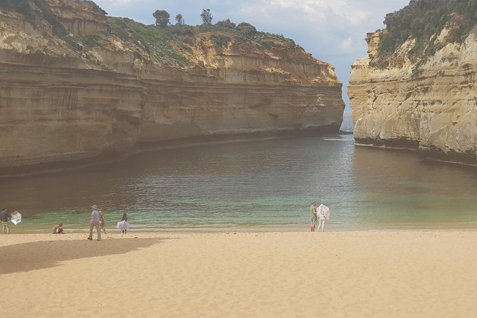 2 Day Great Ocean Road Tour and Platypus paddle - Lunch and rainforest time: Yatzies, Mait’s Rest, and the Apollo Bay to Lorne rhythm