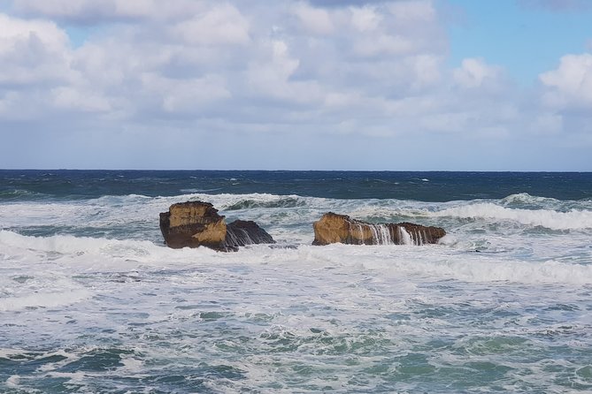 2 Day Great Ocean Road Tour and Platypus paddle - Otways redwoods and Hopetoun Falls, then back to Melbourne
