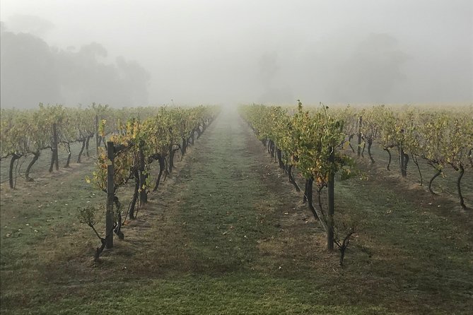 2-Day Yarra Valley Wine Tour with Luxury Vineyard Resort Stay - Day 2 itinerary: Yering Farm and Soumah with cool-climate focus