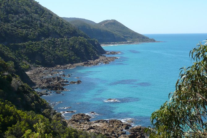 3-Day Melbourne to Adelaide Tour Including the Great Ocean Road - Getting the most out of it: practical tips for a smoother trip