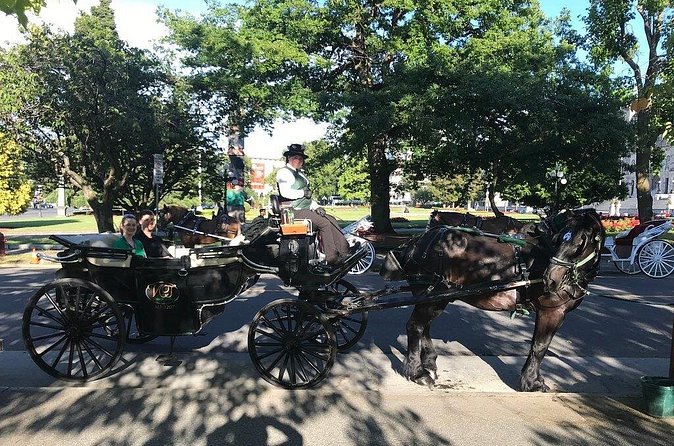45-Minute By The Park Tour - Should You Book This Carriage Tour?