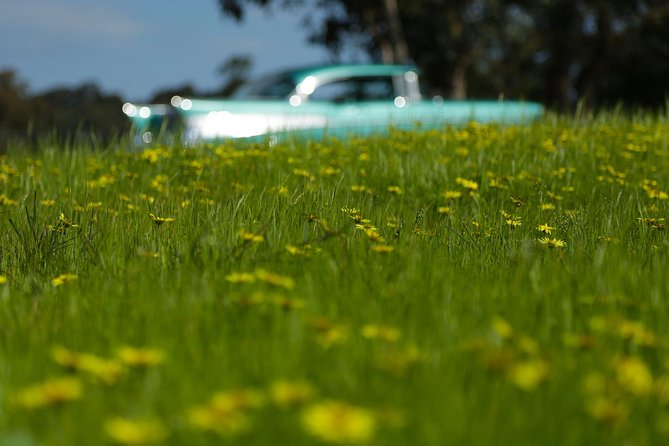 '56 Chevrolet 6-hr Yarra Valley Classic Car Private Tour (4 ppl) - Chocolaterie and a dairy farm stop: the sweet-and-local rhythm