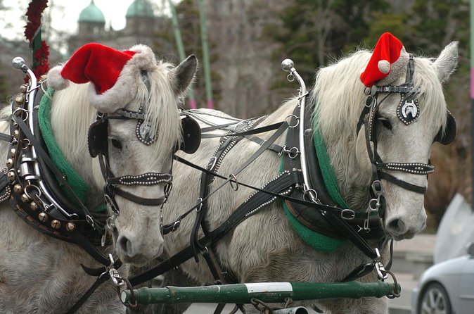60-Minute Beacon Hill Park Tour - Empress Hotel start: the harbor view that sets the tone