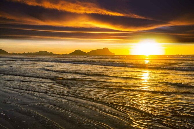 7 Day Guided Small Group Tour On Vancouver Island’s West Coast - Key highlights worth your attention