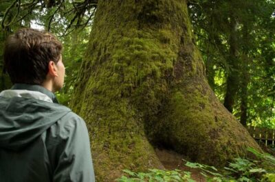 7 Day Guided Small Group Tour On Vancouver Island’s West Coast - Getting from Victoria to Tofino: the van ride that sets the tone