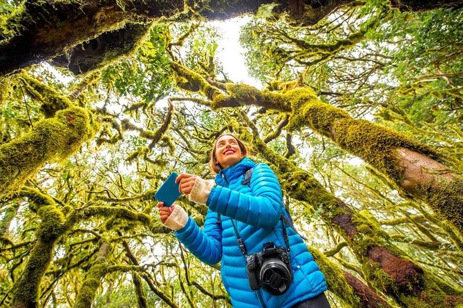 7 Day Guided Small Group Tour On Vancouver Island’s West Coast - Day 2: Hot Springs Cove and why it’s a top-value stop