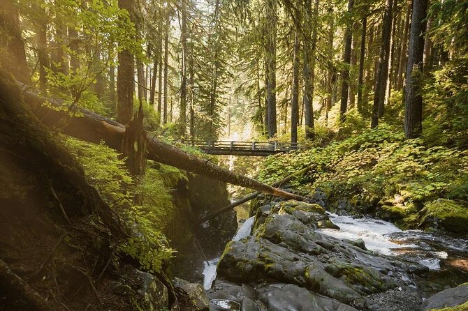 7 Day Guided Small Group Tour On Vancouver Island’s West Coast - Day 6: East Sooke Regional Park Coastal Trail and First Nations connection