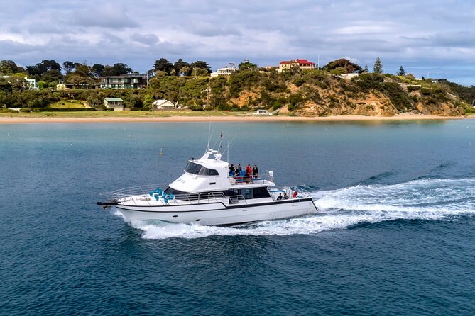 90 minute wildlife and scenic cruise - Pope’s Eye Marine Park: Where Seals and Gannets Become the Point