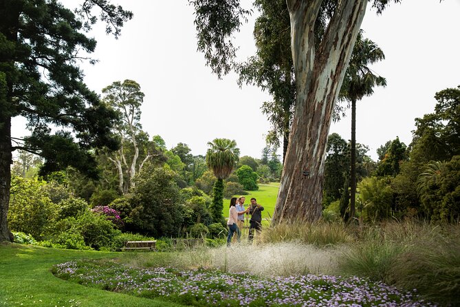 Aboriginal Heritage Walk - Royal Botanic Gardens Victoria, Melbourne Gardens - Price and value: what $30.51 gets you in Melbourne Gardens