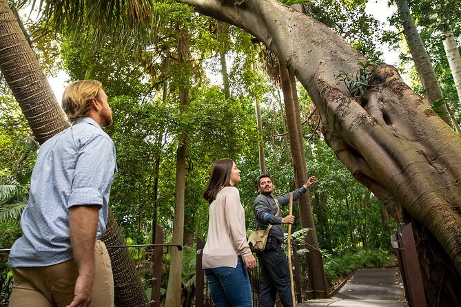 Aboriginal Heritage Walk - Royal Botanic Gardens Victoria, Melbourne Gardens - Inside Womin Djeka at the Royal Botanic Gardens