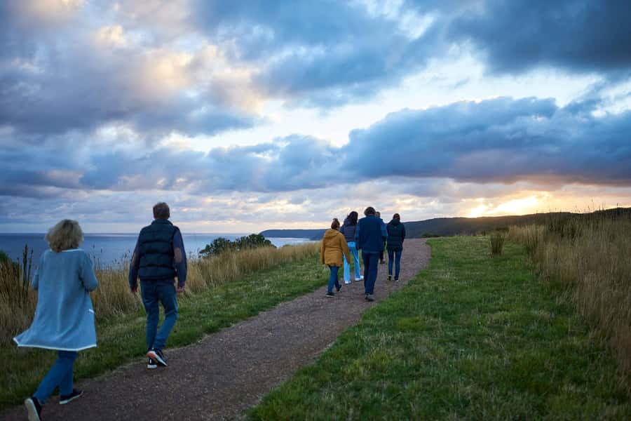 Apollo Bay: Dusk Discovery Great Ocean Road Wildlife Tour - The small-group format: your chance to see and hear more