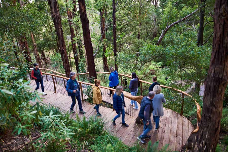 Apollo Bay: Dusk Discovery Great Ocean Road Wildlife Tour - The 90-minute wildlife tour: how the sanctuary experience typically unfolds