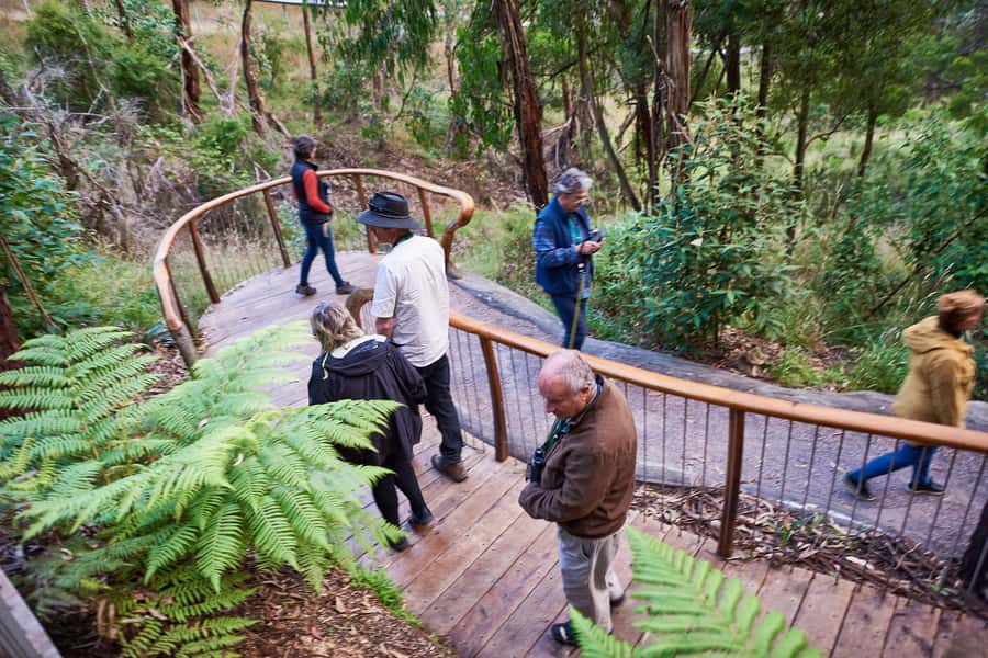 Apollo Bay: Dusk Discovery Great Ocean Road Wildlife Tour - Conservation and the feel-good factor: your evening has a purpose