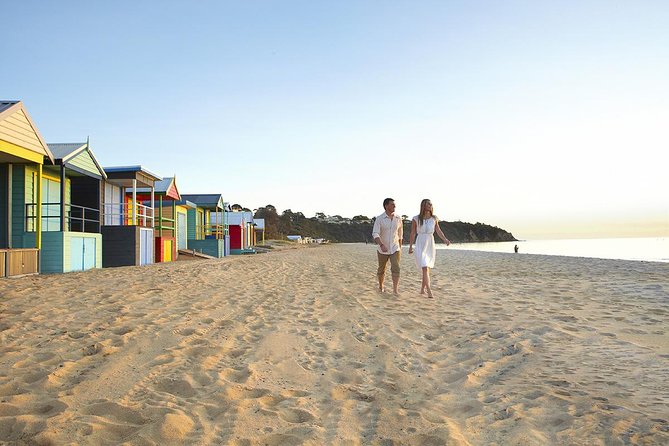 Around the Bay Food and Wine Taste Trail - Mornington and Bellarine in one long lunch-and-coast day