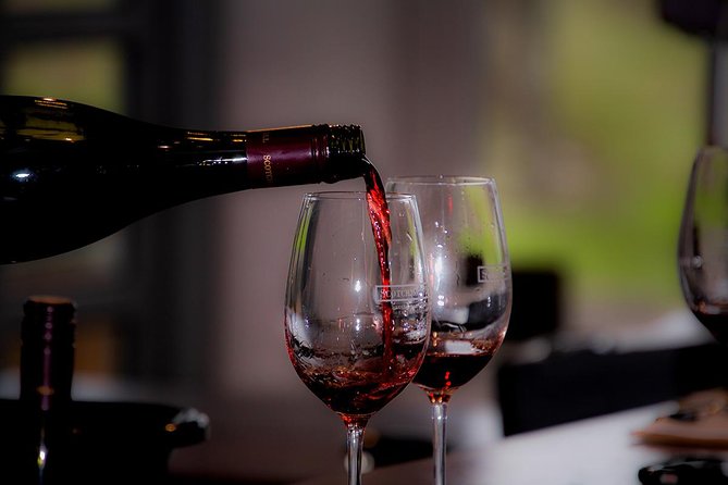 Around the Bay Food and Wine Taste Trail - Stop 1: Geelong Waterfront walk to get your bearings