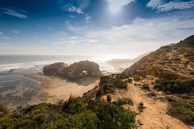 Around the Bay Sightseeing and Bay Cruise - How the Bellarine–Mornington loop really feels in 10 hours