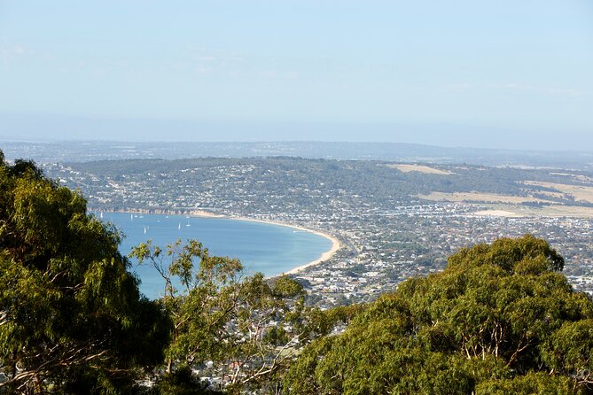 Around the Bay Sightseeing and Bay Cruise - Arthurs Seat and Murrays Lookout: panoramic views without the long hike