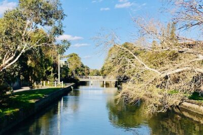 Bayside Bike Tour | Dip into Local Life | Enjoy Seaside Vibes - St Kilda Botanical Gardens: A Peaceful Reset