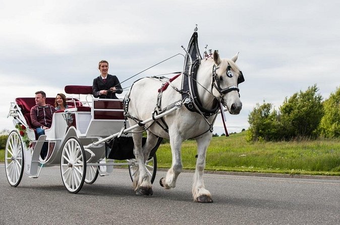 Beacon Hill Park Horse-Drawn Carriage Experience in Victoria - Horses, Warmth, and Guide Style: What Makes This Ride Feel Worth It