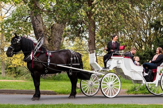 Beacon Hill Park Horse-Drawn Carriage Experience in Victoria - Price and Group Value: What $232.82 Per Carriage Really Buys You