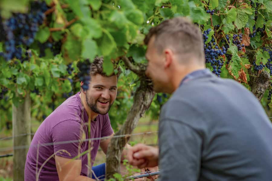 Bellarine Winery: Texas BBQ Platter Lunch with Wine - Your lunch: house-made and house-cured BBQ with seasonal sides