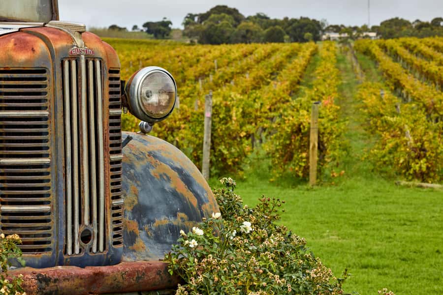 Bellarine Winery: Texas BBQ Platter Lunch with Wine - Who should book this Texas BBQ lunch (and who should pass)