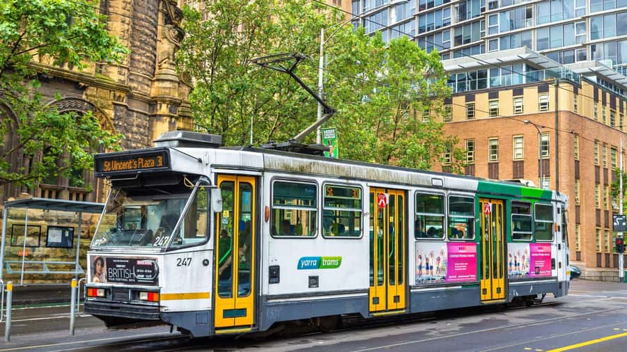 Best of Melbourne: Private Walking Tour with a Local - Key moments that make this tour worth your time