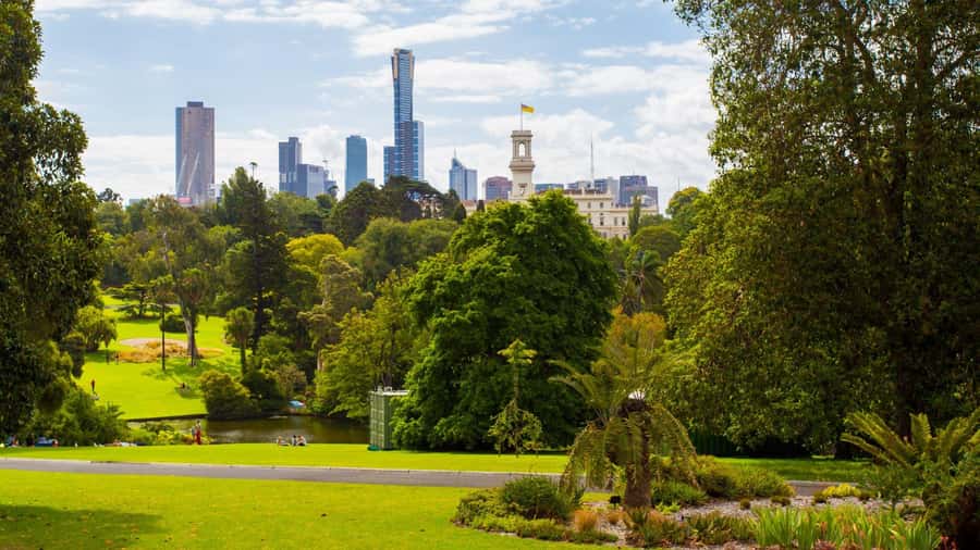 Best of Melbourne: Private Walking Tour with a Local - The “friendly local” angle: what you get, and what to watch for