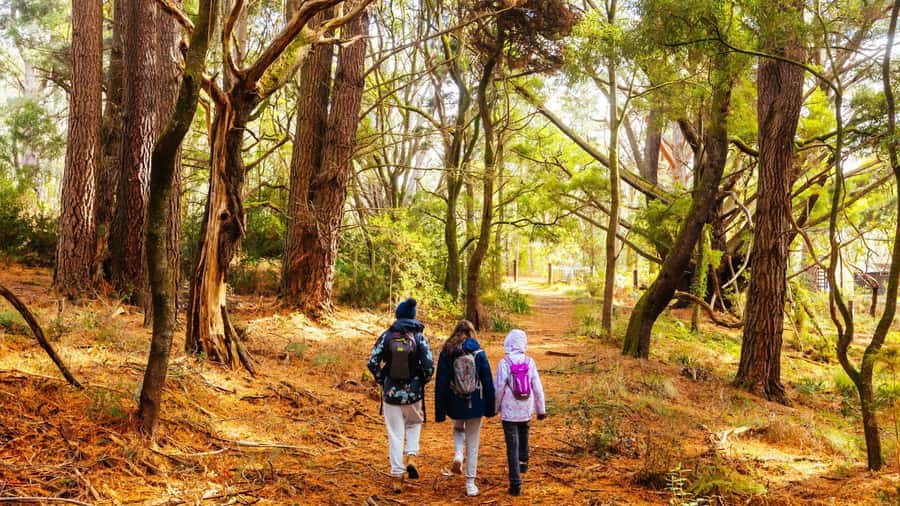 Best of Melbourne: Private Walking Tour with a Local - Who should book this tour (and who should skip it)