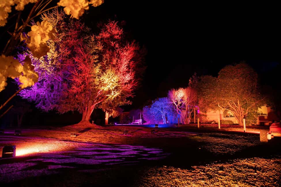 Blossom by Light at CherryHill - Value and who this event fits best