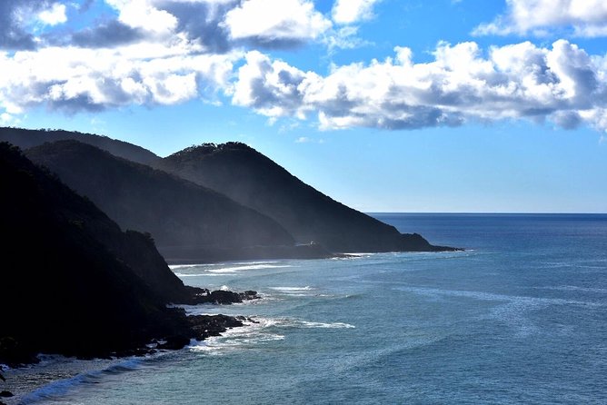 Boutique Great Ocean Road, wildlife and Rainforest Experience - Key Highlights You’ll Feel Right Away