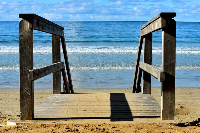 Boutique Great Ocean Road, wildlife and Rainforest Experience - Otways at Mait’s Rest: the guided rainforest walk that changes the pace