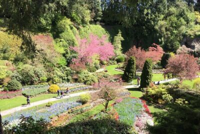 Butchart & Beyond: The Grand Victoria Tour - Butchart Gardens first: two hours in Tod Inlet’s show-garden world