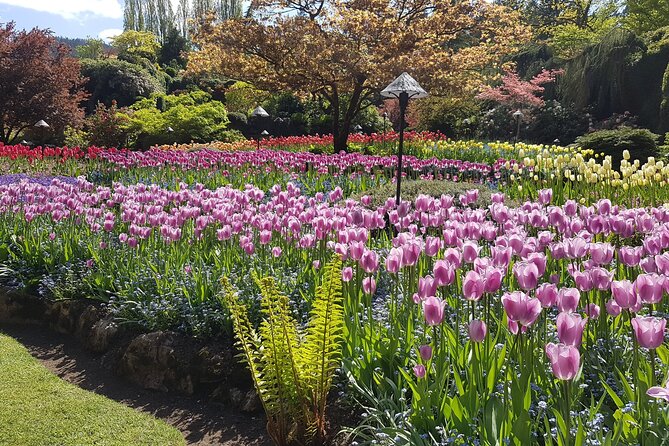 Butchart Gardens and City Highlights Private tour - Legislative Assembly exterior: Francis Rattenbury’s architecture lesson