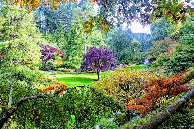Butchart Gardens and City Highlights Private tour - Thunderbird Park story poles: West Coast First Nations context, in plain language
