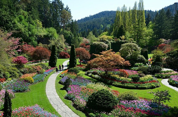Butchart Gardens Evening Illumination Shuttle - Who Should Book the Evening Illumination Shuttle