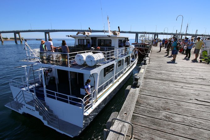 Cape Woolamai Sightseeing Cruise from San Remo - Where this fits on Phillip Island: smart value for limited time
