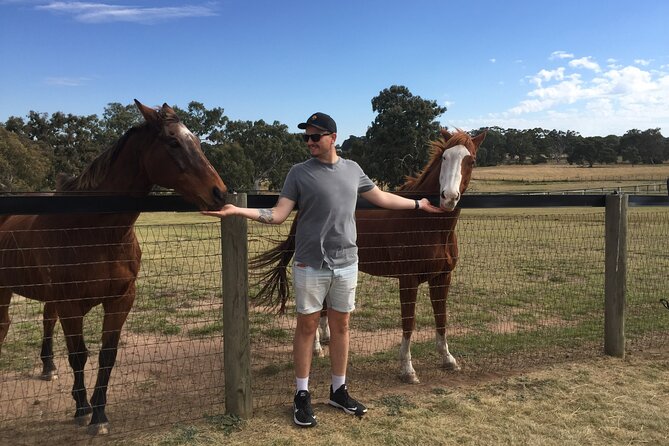 Champion Racehorse Tour with Beer and Wine Tasting - Key Highlights You’ll Actually Care About