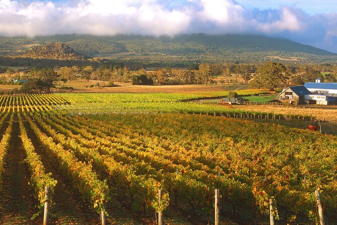 Champion Racehorse Tour with Beer and Wine Tasting - Living Legends at Woodlands Historic Park: Up Close With Racing Legends