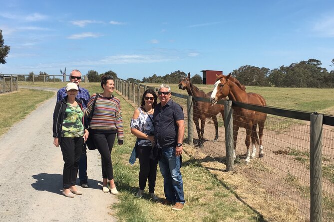 Champion Racehorse Tour with Beer and Wine Tasting - Gisborne Peak Estate in the Macedon Ranges: Rieslings, Chardonnay, and Views