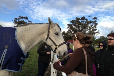 Champion Racehorse Tour with Beer and Wine Tasting - Holgate Brewhouse: Microbrewery Views and the Craft Beer Tasting Factor